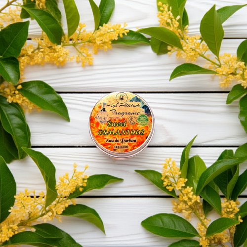 SWEET OSMANTHUS Perfume - Eau de Parfum - Solid Balm - Aromatherapy Essential Oils (Osmanthus Fragrans, Tangerine, Neroli, Jasmine, Honeysuckle, Vanilla) - Natural Fragrance